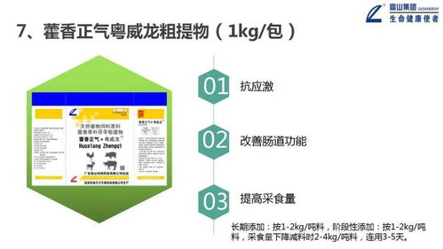 大力推進(jìn)一體化形象服務(wù)體系建設(shè)，推動高山中獸藥向更高水平發(fā)展——信息系統(tǒng)運(yùn)行維護(hù)服務(wù)篇